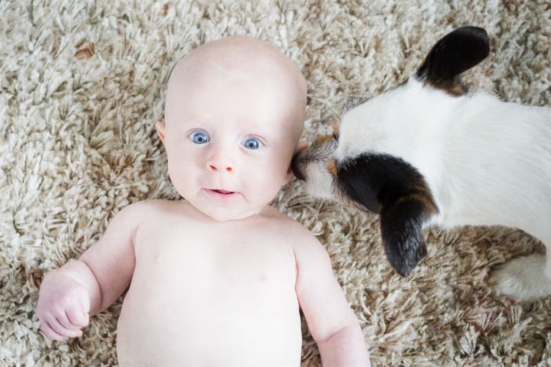 NewbornPhotographyEdinburgh34